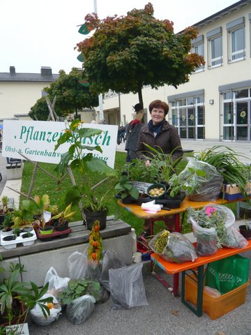 Bauernmarkt und Pflanzentausch 2015