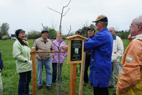Baumpflanzung auf der Streuobstwiese 2011