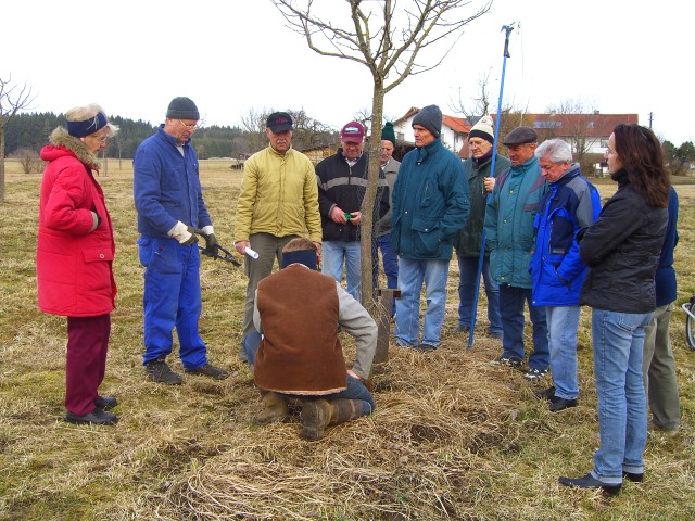 Baumschneidekurs 2008