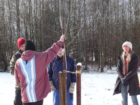 Baumschneidekurs 2023
