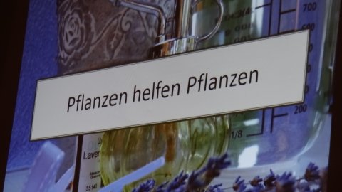 Frühjahrsversammlung 2017