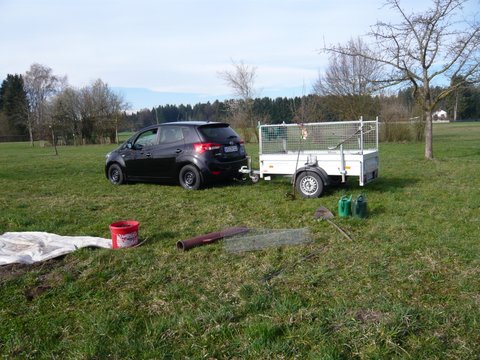 Kindergarten wird Baumpate 2019