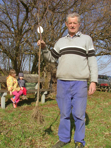 Streuobstwiese Steinbachfeld 2006