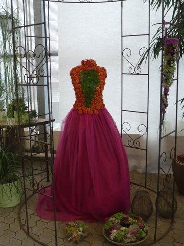 Vereinsausflug - Aschinger Alm 2016