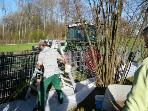 Wohlfühlgarten 2017