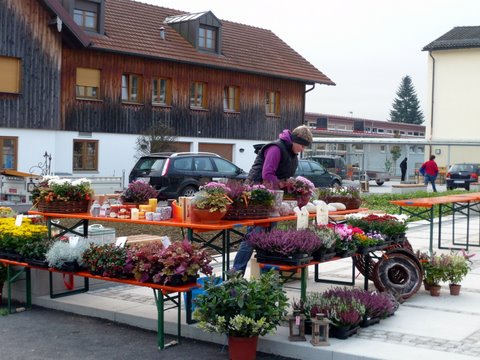 20. Pflanzentausch und Bauernmarkt in Edling 2010