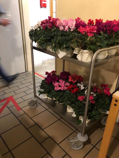 PHOTO-2022-11-18-15-02-05