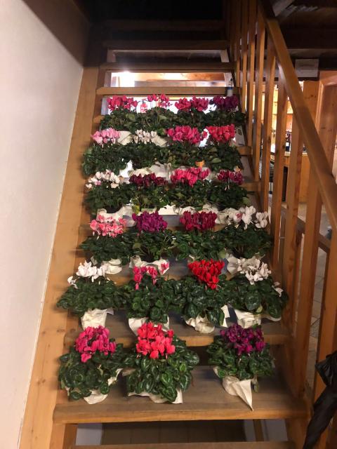 PHOTO-2022-11-18-15-02-52