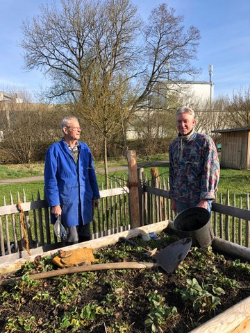 Apfelbaum gepflanzt 2022