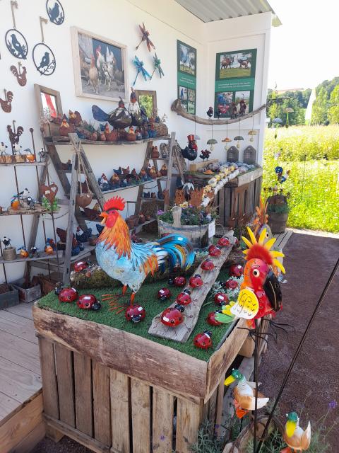 Ausflug Landesgartenschau 2025