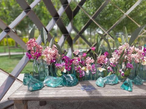 WhatsApp-Image-2024-06-30-at-14.59.01--1-