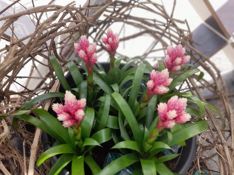 WhatsApp-Image-2024-06-30-at-14.59.01--2-