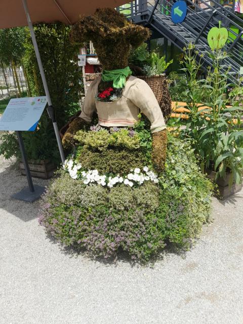 WhatsApp-Image-2024-06-30-at-14.59.01--3-