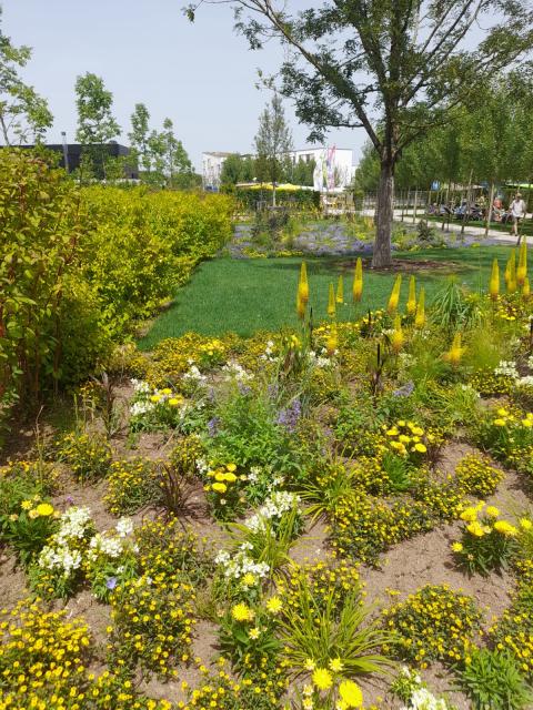 WhatsApp-Image-2024-06-30-at-14.59.01