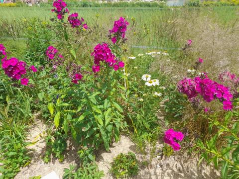 WhatsApp-Image-2024-06-30-at-14.59.02--1-