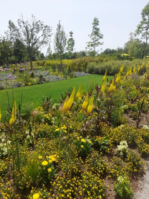 WhatsApp-Image-2024-06-30-at-14.59.02