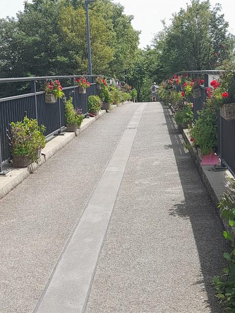 WhatsApp-Image-2024-06-30-at-15.01.33--1-