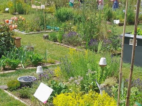 WhatsApp-Image-2024-06-30-at-15.01.33