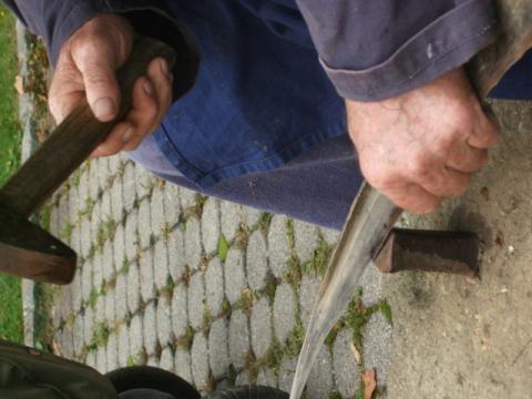 2008-Bauernmarkt--18-