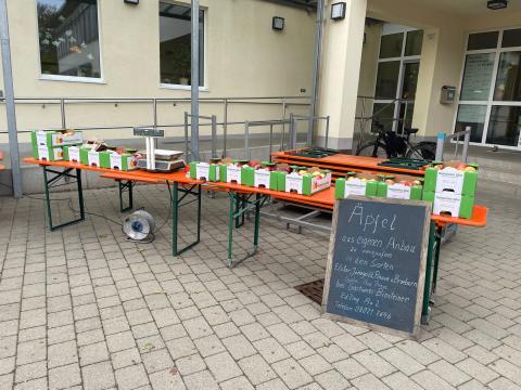 PHOTO-2023-10-16-09-23-22-2