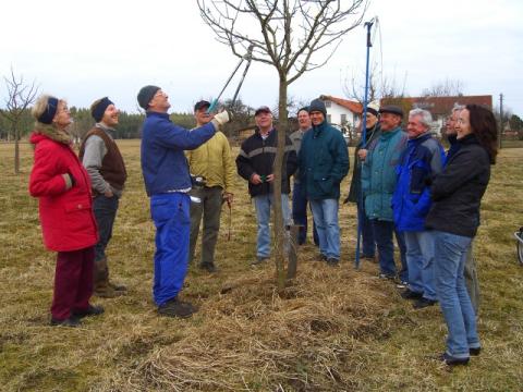 2008-Baumschneidekurs--2-