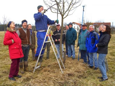 2008-Baumschneidekurs