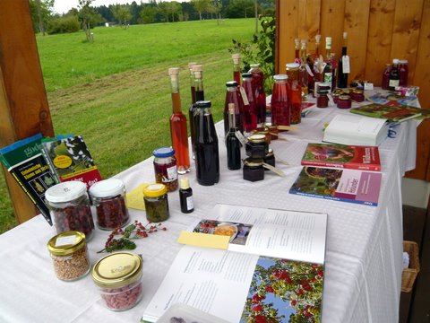 Die Fülle des Herbstes - Kräuterwanderung auf der Streuobstwiese 2010