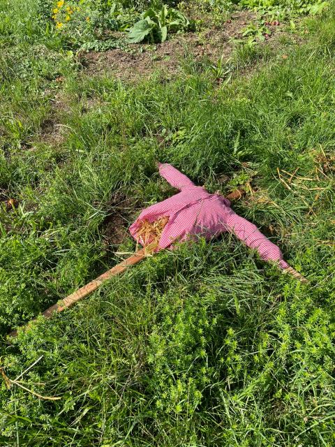 WhatsApp-Image-2023-08-13-at-17.35.39--1-