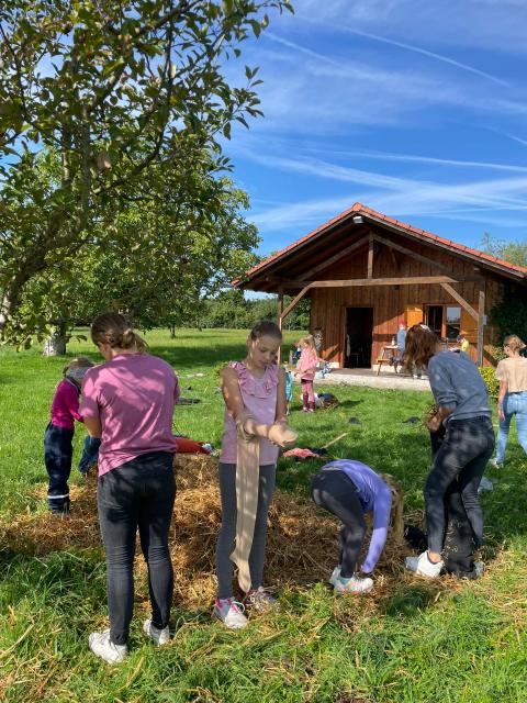 WhatsApp-Image-2023-08-13-at-17.35.39