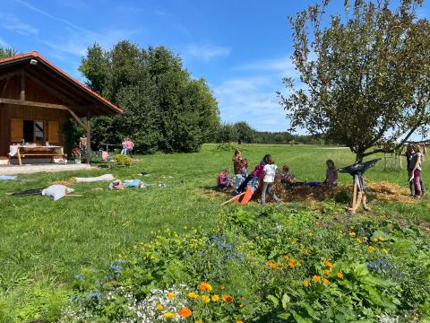 WhatsApp-Image-2023-08-13-at-17.35.41