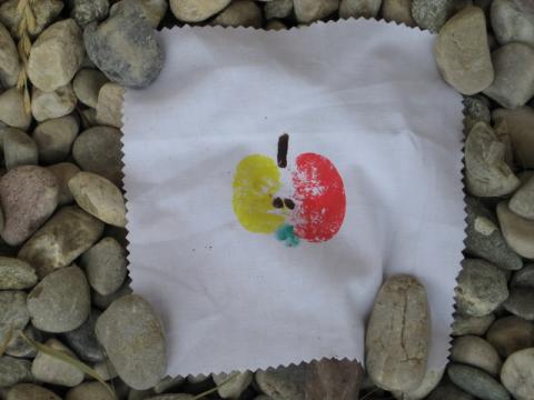 08-Ferienpr.Streuobstwiese--7-