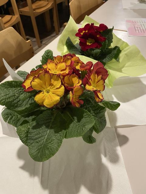 Frühjahrsversammlung 2024