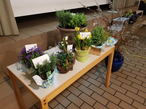 Frühjahrsversammlung 2019