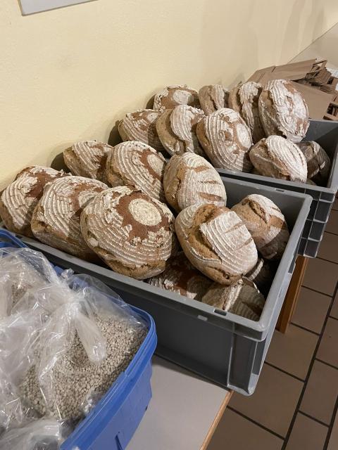 WhatsApp-Image-2024-11-08-at-15.56.51--1-