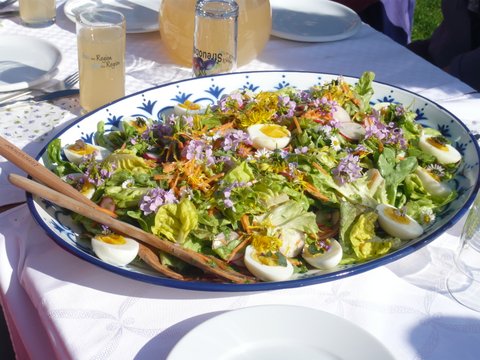 Kräuterführung 2015