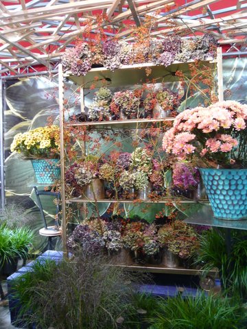 Landesgartenschau 2014