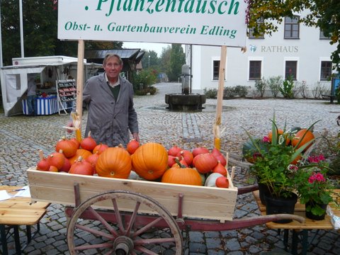 Pflanzentausch und Bauernmarkt 2009