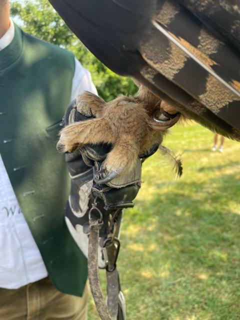 PHOTO-2023-07-31-12-08-46-4