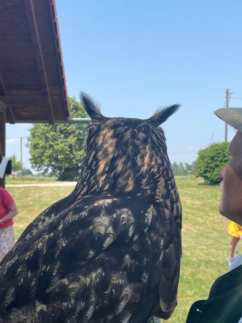 PHOTO-2023-07-31-12-08-48