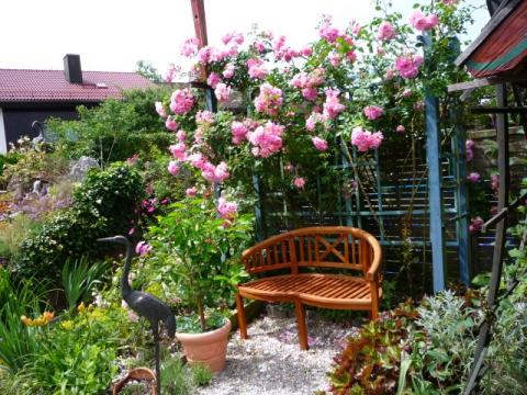 Crveny-Juni-2008--2-