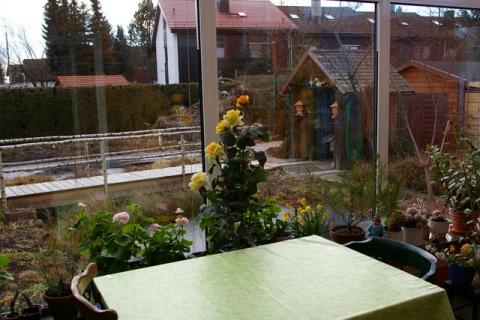 Crveny-Winter-08--10-