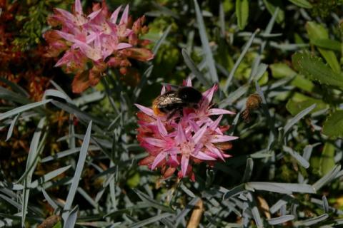 Neumeier-Juni-08--6-