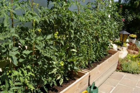 Neumeier-Juni-08--7-