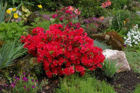 Neumeier-Mai-08--13-