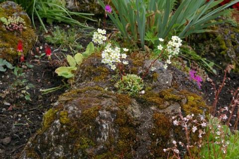 Neumeier-Mai-08--14-