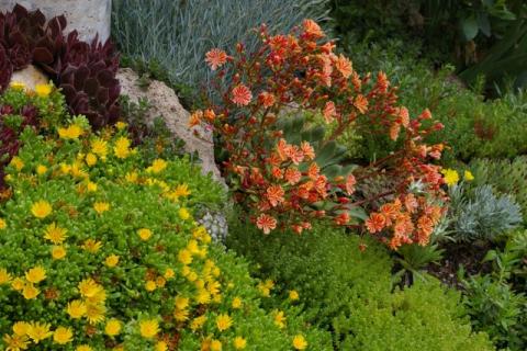 Neumeier-Mai-08--18-