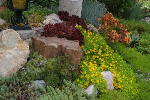 Neumeier-Mai-08--19-