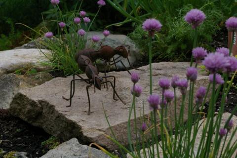 Neumeier-Mai-08--26-