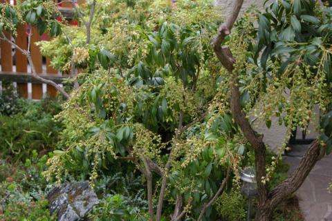 Neumeier-Mai-08--33-