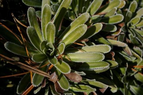 NeumeierWinter-08--13-